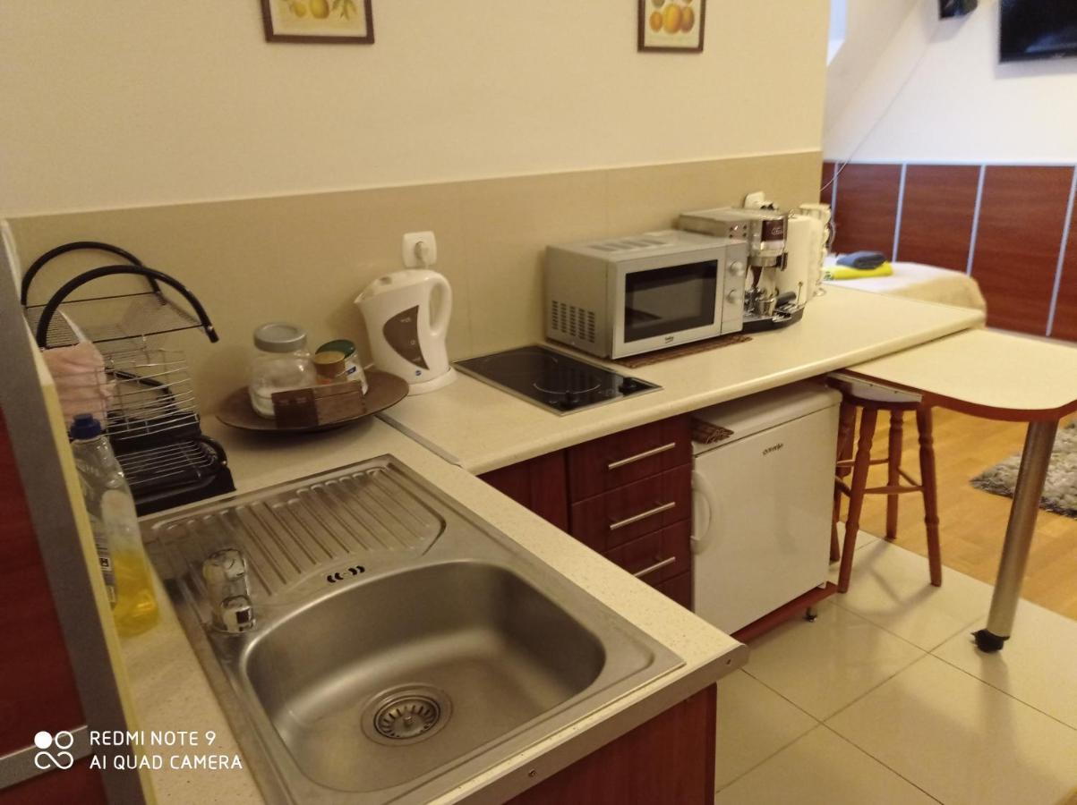 Apartameny Tadeusz 406 Krynica-Zdrój Exteriör bild